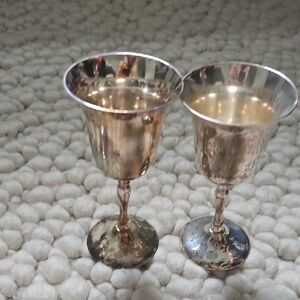 Elegant Silver Goblet Set